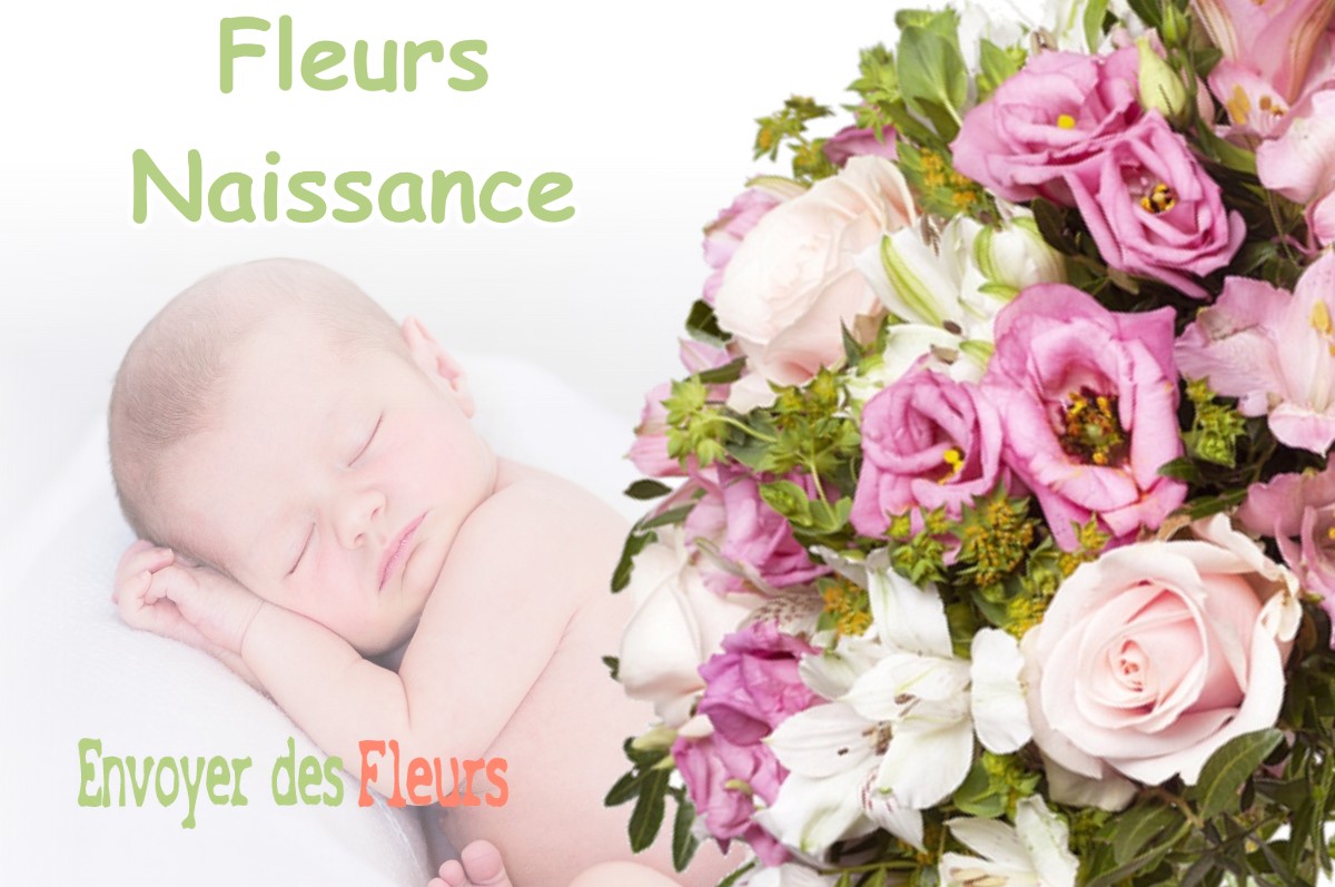 lIVRAISON FLEURS NAISSANCE à VILLEMUR-SUR-TARN